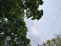-紫金山山顶公园