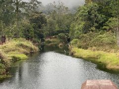 -海南热带雨林国家公园吊罗山景区
