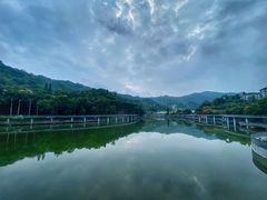 -银湖山郊野公园-相思林