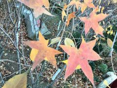 外景-金石唐风国际温泉会馆