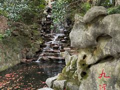 -十八棵（老龙井）御茶园(老龙井店)