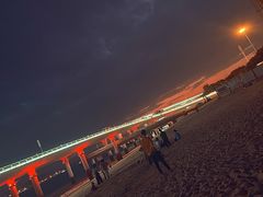 -演武大桥观景平台