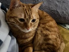 -新荟城(望京店)