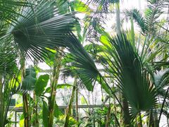 -国家植物园南园