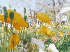 -名花谷生态庄园