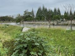 -蜀绣公园