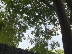 -土砂锅生态山庄·非遗砂锅雅鱼