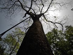-北京上方山国家森林公园