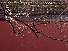 -钱王祠