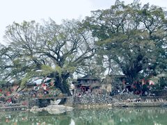 -云水谣景区