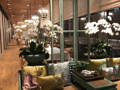 -若蘭慈·无国界素食料理(欢乐海岸店)