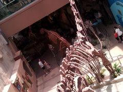 -陕西自然博物馆