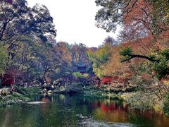 -岳麓山风景名胜区