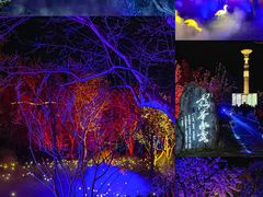 -茅山东方盐湖城景区