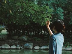 -金花茶公园