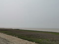 -南汇嘴观海公园