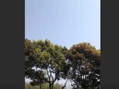 -海军上海博览馆