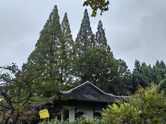 -红梅公园