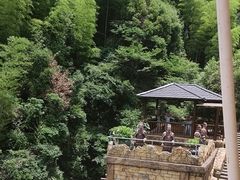 -将军关探险漂流