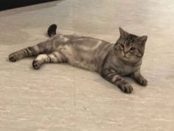 -幸运7纹身刺青Lucky7tattoo