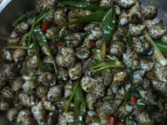 花螺，爽口，好吃……-浪琴湾尾角仔海鲜坊