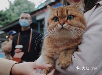 Twins出街“散步去”