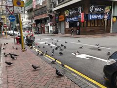 -华嫂冰室(尖沙咀店)