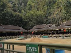 -野象谷景区