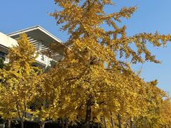 -四川大学(江安校区)