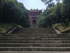 -铁山坪森林公园