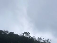 -增城大丰门漂流