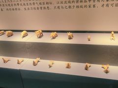 -荆州博物馆