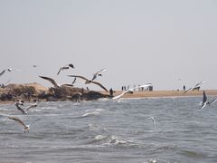 -老虎石海上公园