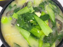 -常熟炒浇面馆(蓝旗街店)