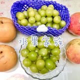 秋日瓜果飘香，爱吃水果的宝宝们有福啦[调皮]