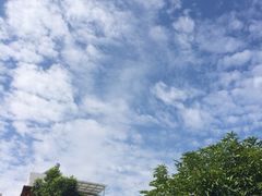 广州碧桂园凤凰城酒店-广州碧桂园凤悦凤凰城酒店