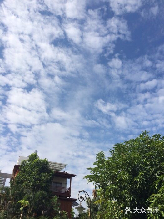 广州碧桂园凤悦凤凰城酒店广州碧桂园凤凰城酒店图片