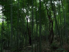 -黄公望隐居地