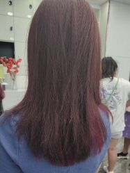 -YESIDO椰岛造型