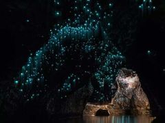 -怀托摩萤火虫洞