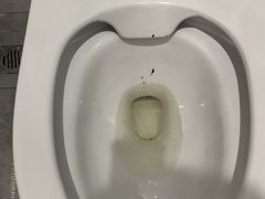 -地中海传奇水汇