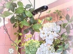 -宫七SPA·高端Massage(浦东大道店)