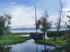 -洱海月湿地公园