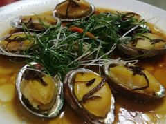 小鲍鱼-明香海鲜酒家(华强北店)