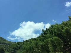 -四明山国家森林公园