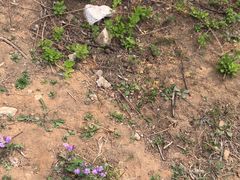 -北京鹫峰国家森林公园