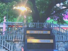 -水围村