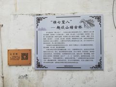 -荣阳楼(山塘街店)