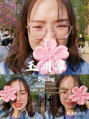 玉渊潭的樱花真是形成了一个品牌了，每年春天是必定打卡