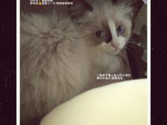 -宠颐生猫科·内科皮肤科(西平世纪城店)